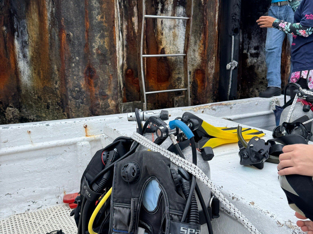 Blue Palms - Day Tours-Rota必去景点