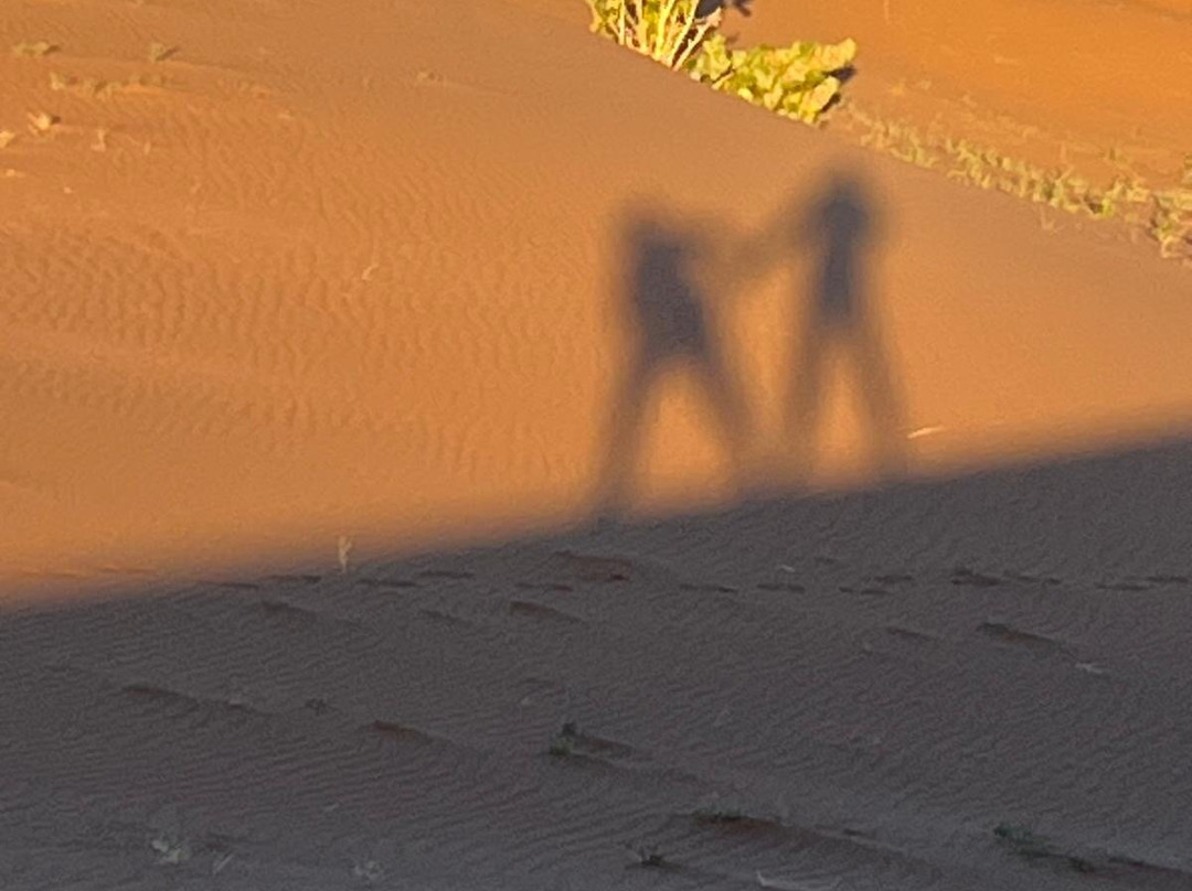 Sahara Bedouins-迈哈米德必去景点