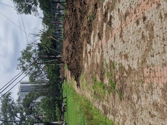 Uhuru Park Nairobi-内罗毕必去景点