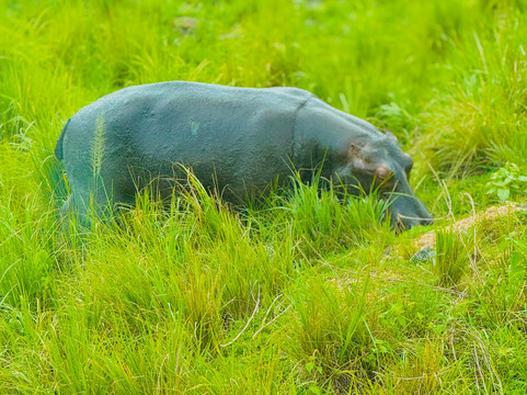 Twist Africa-坎帕拉必去景点