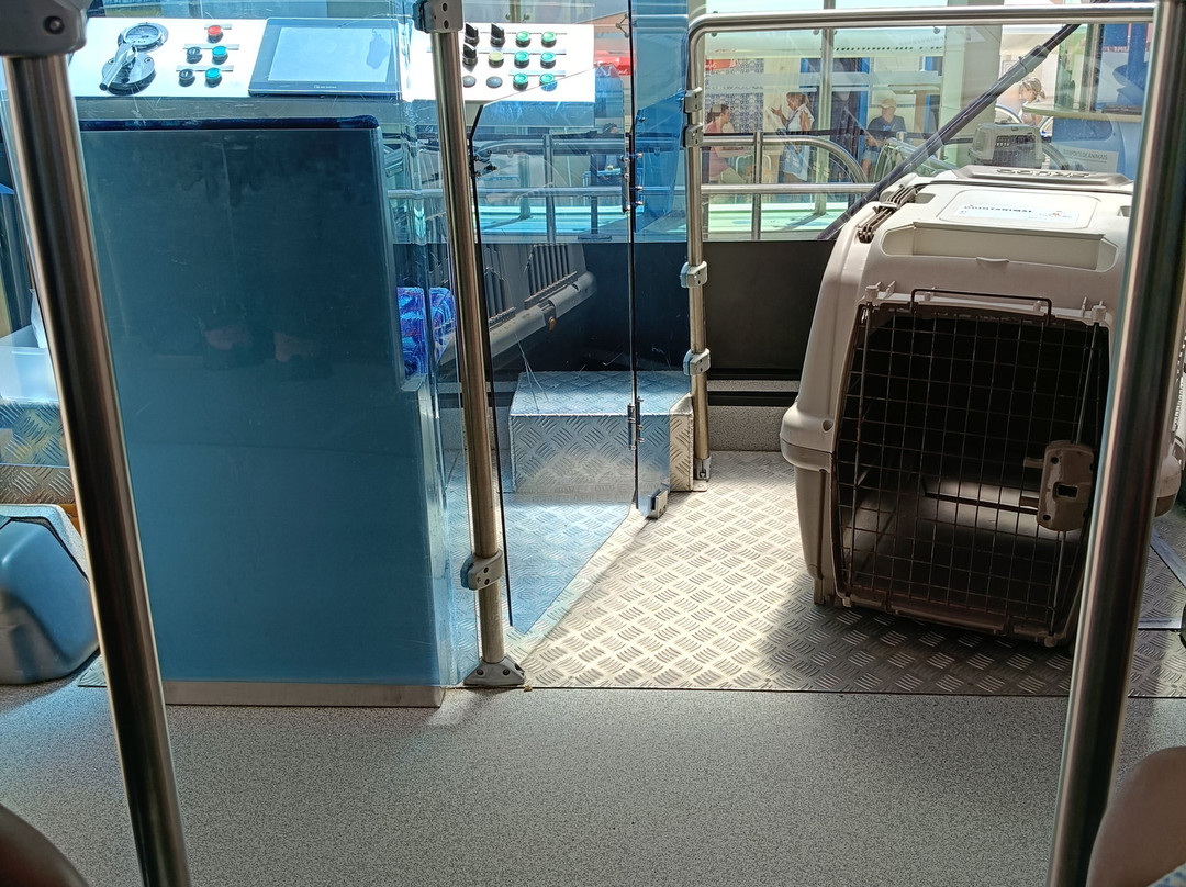 Nazaré Funicular-纳扎雷必去景点