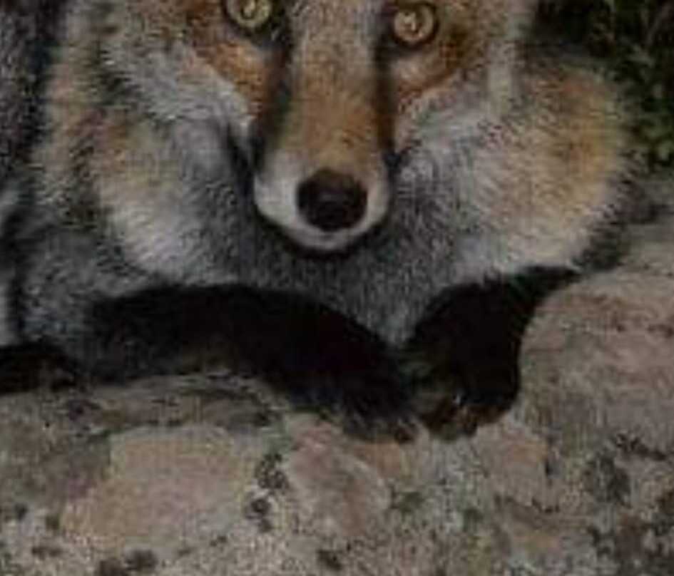 Monte Alerta Turismo Rural主图