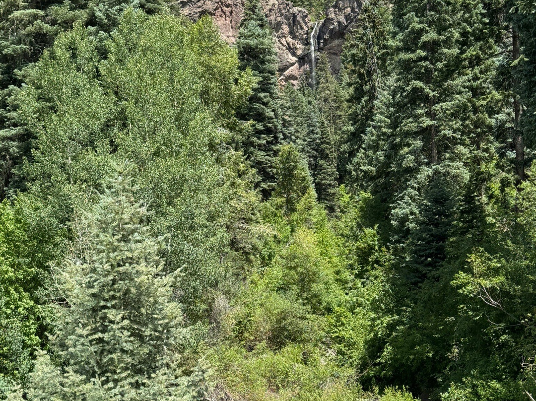 Treasure Falls-帕戈萨斯普林斯必去景点