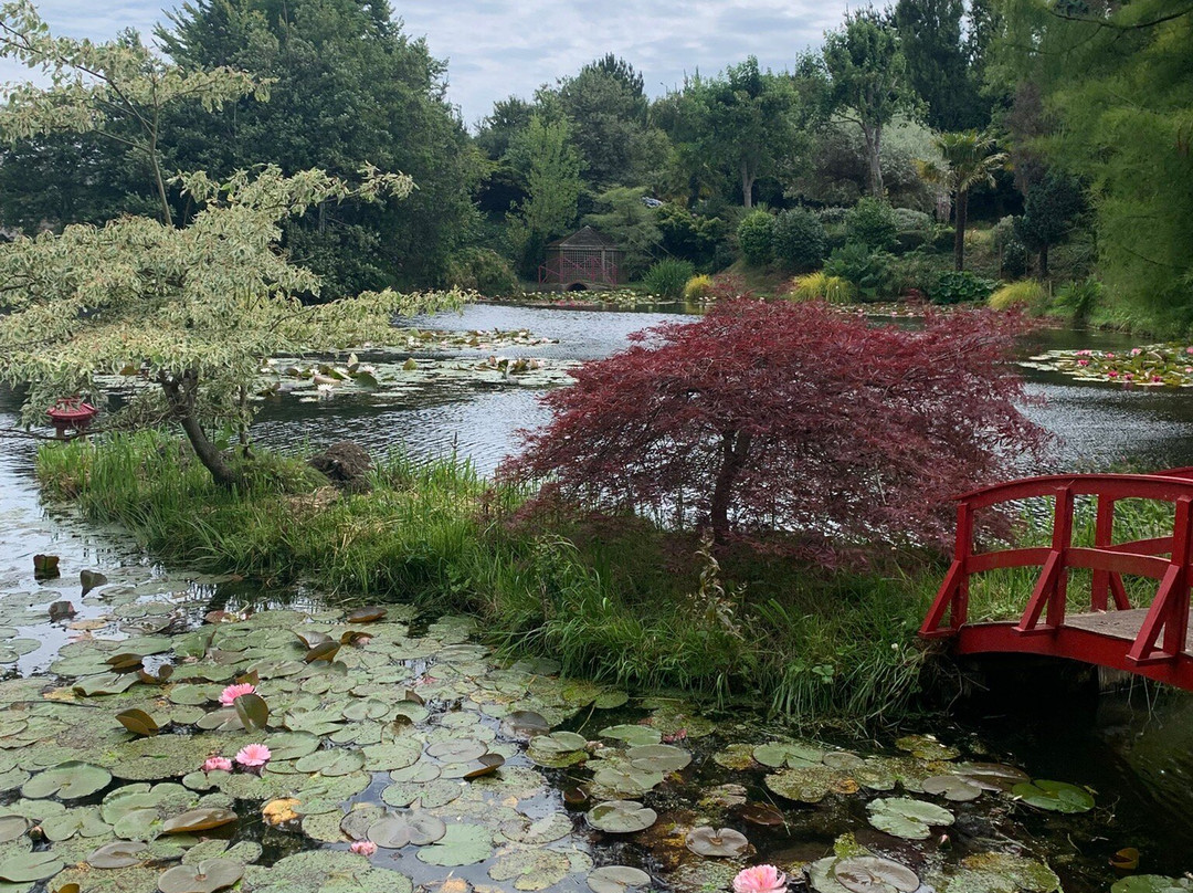 Bennetts Water Gardens-Chickerell必去景点