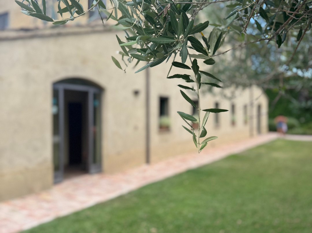 Azienda Agraria Guerrieri-Piagge必去景点