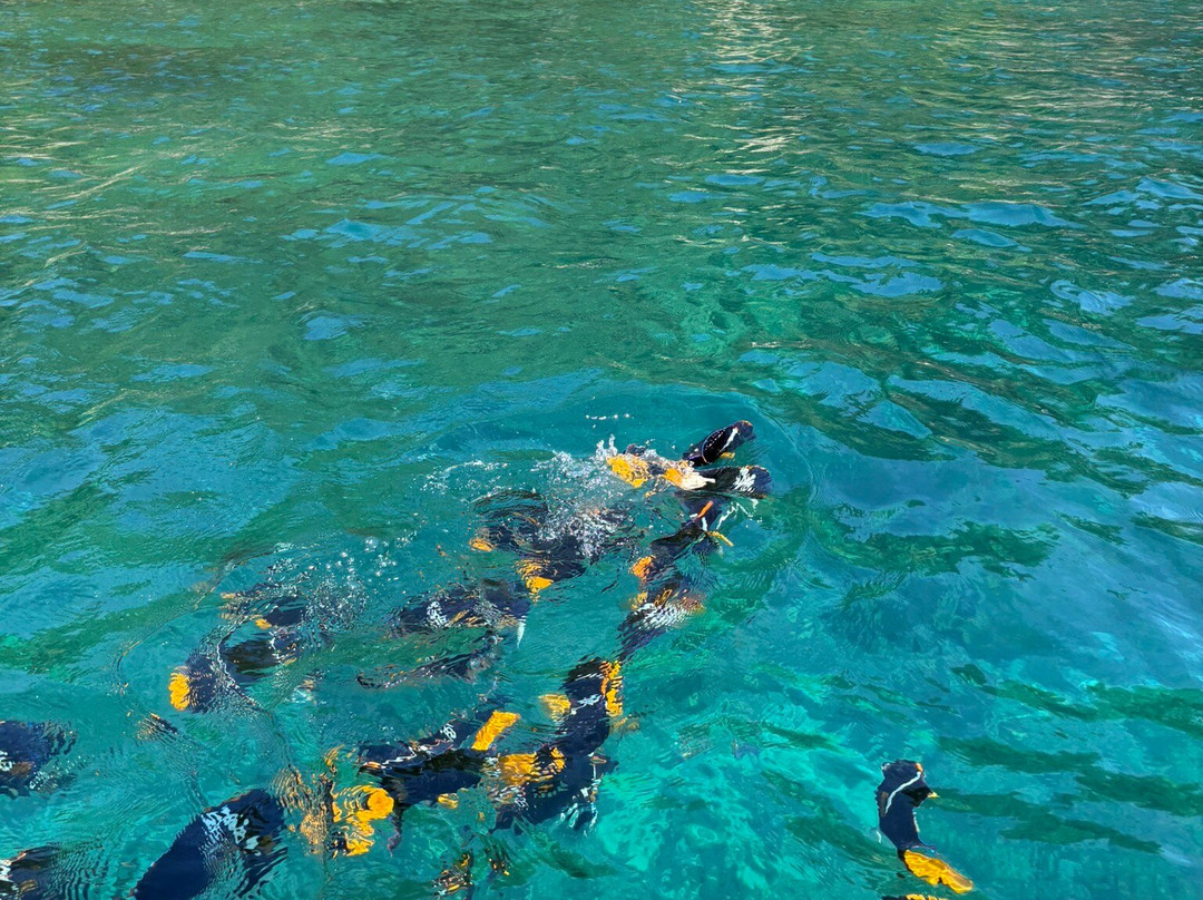 Golondrina 2 Tours-Boca de Tomatlan必去景点