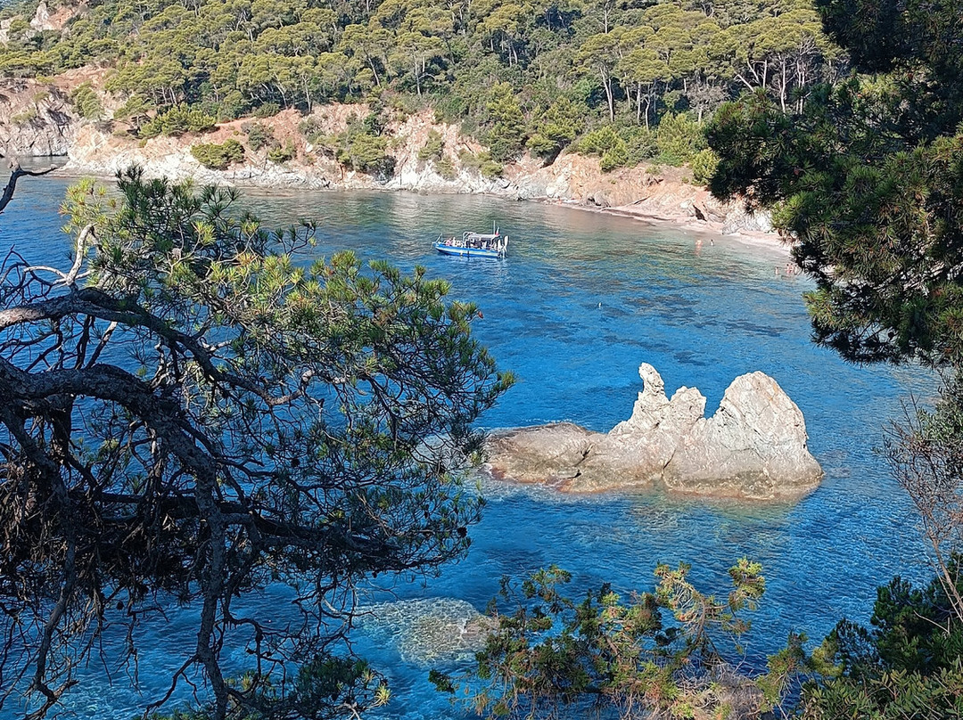 Giens Peninsula-Giens必去景点