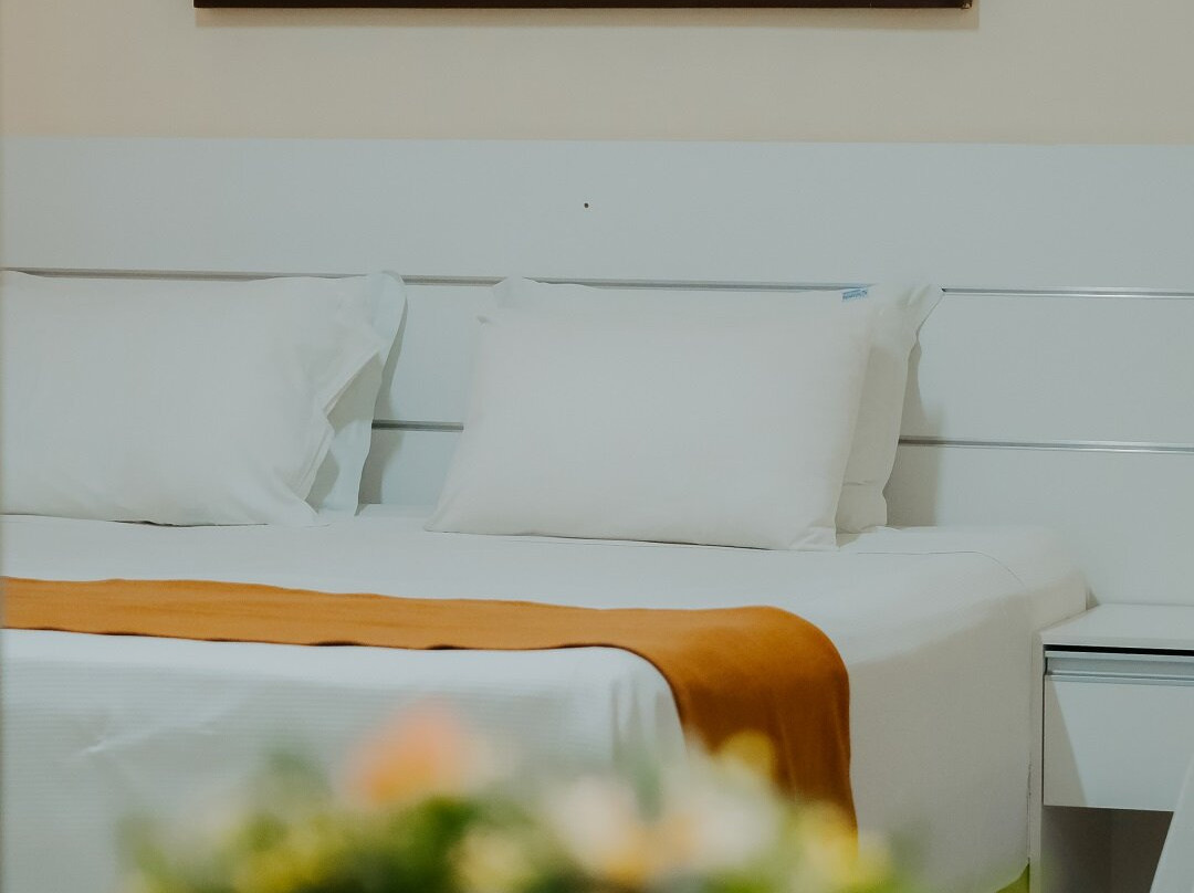 Araripina Palace Hotel主图