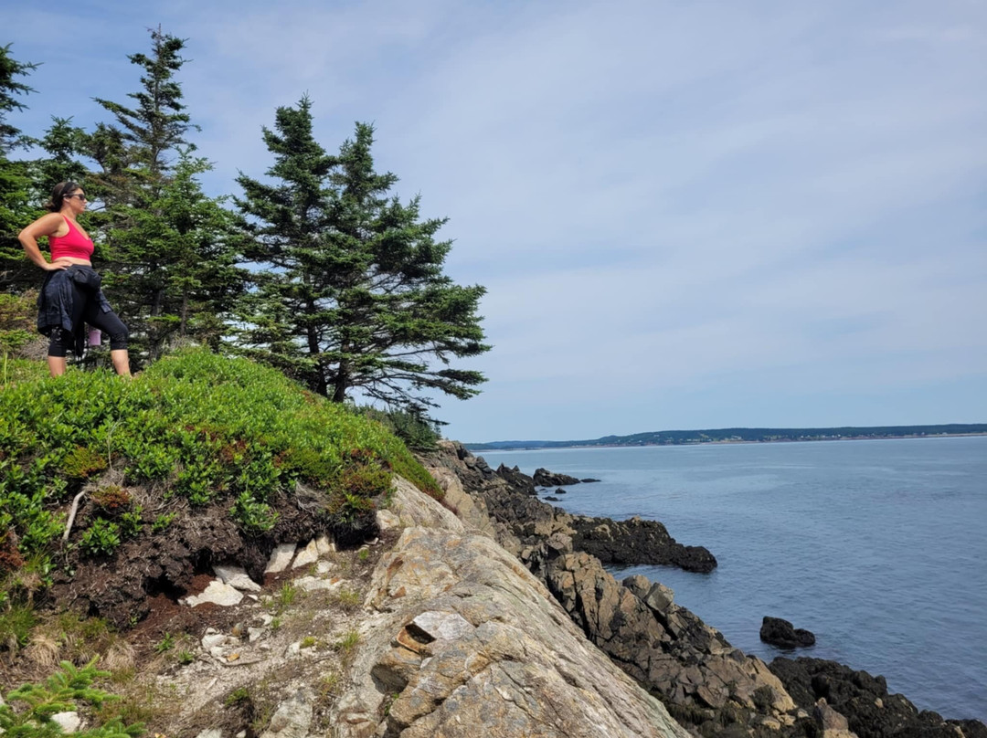 New River Beach Provincial Park-New River Beach必去景点