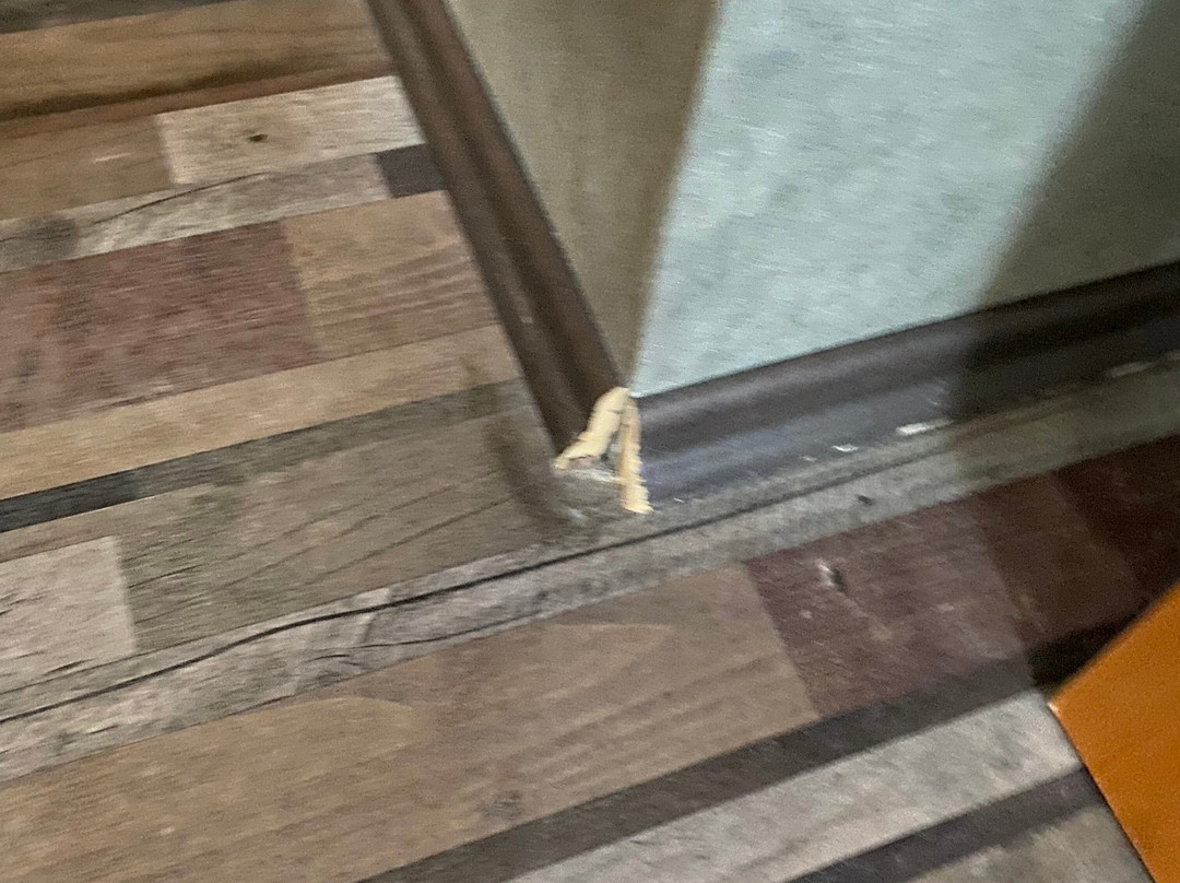 德瑞斯德尼酒店主图