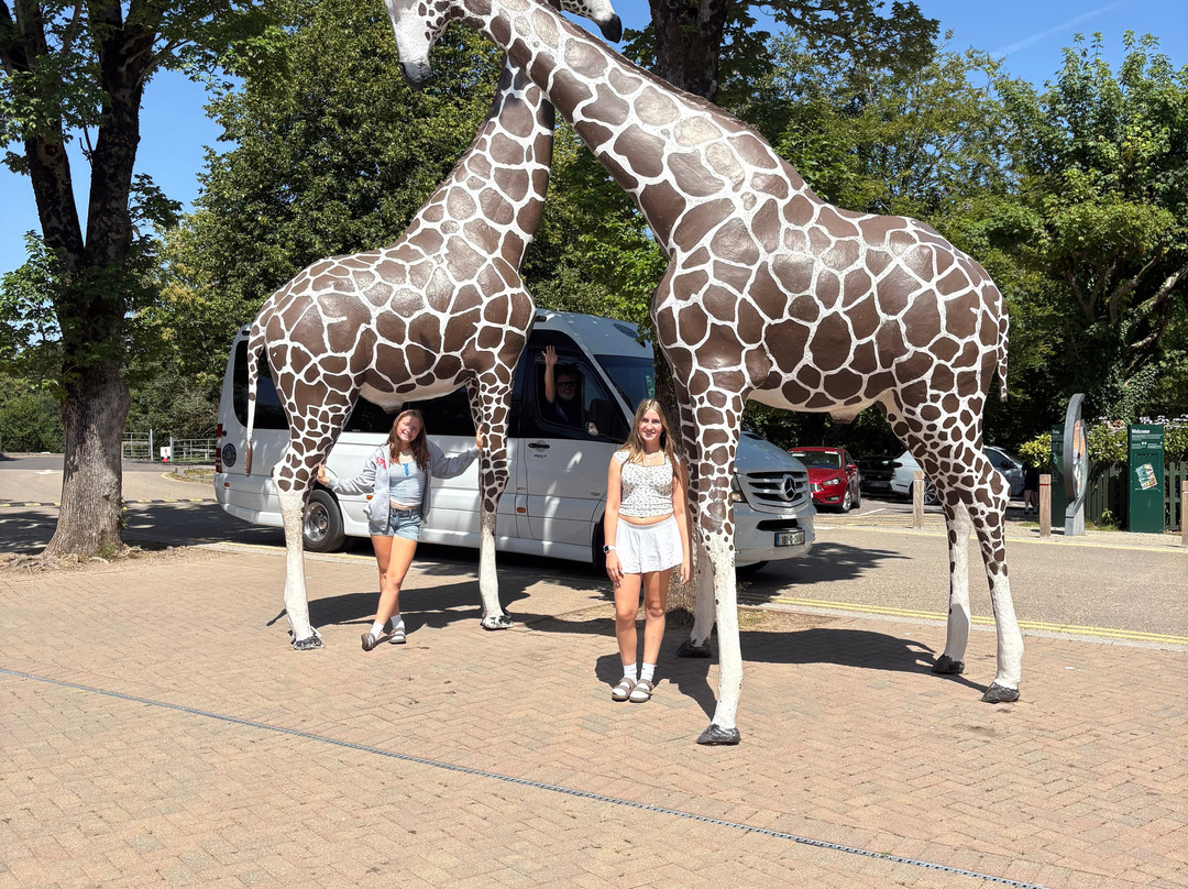 Creagh Travel-科克必去景点