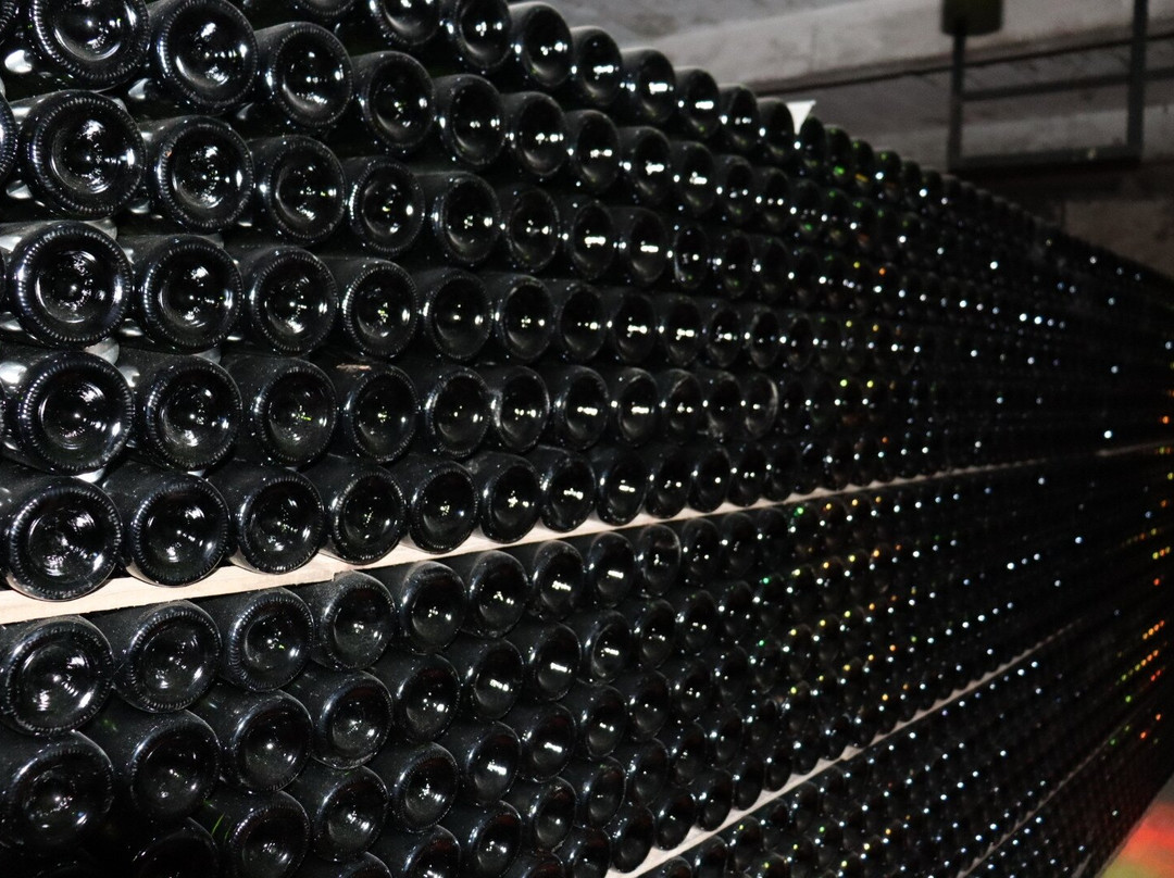 Maison Guinot-利穆必去景点