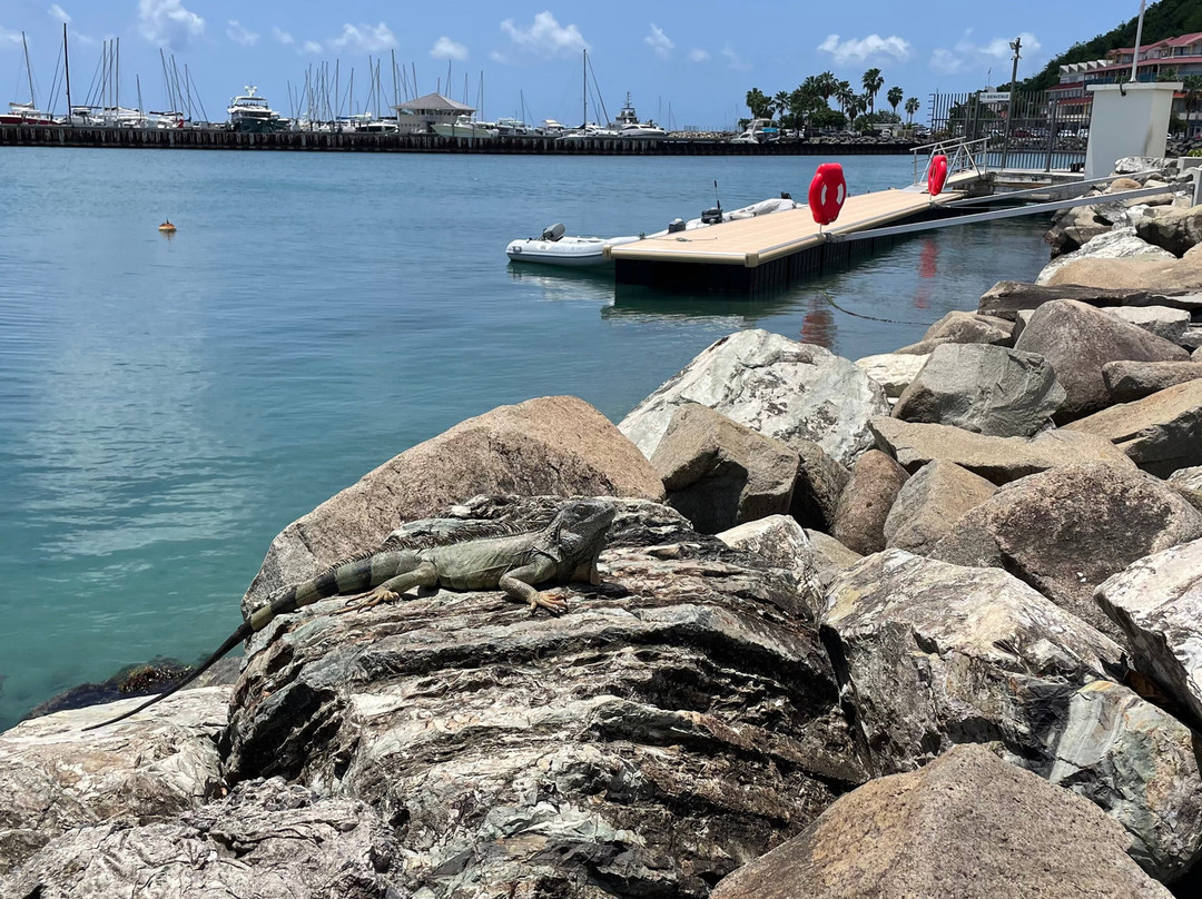 Marigot Market-Marigot必去景点