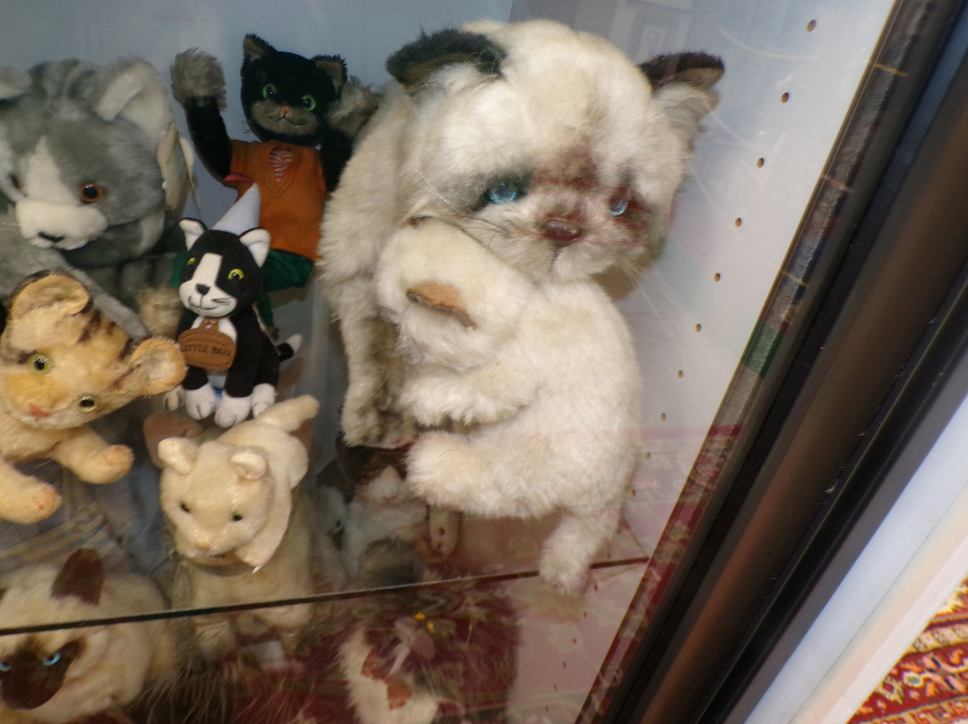 The American Museum of the House Cat-Sylva必去景点