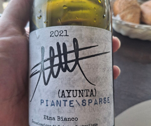 Lido Playa Sole Luna-陶尔米纳必去景点