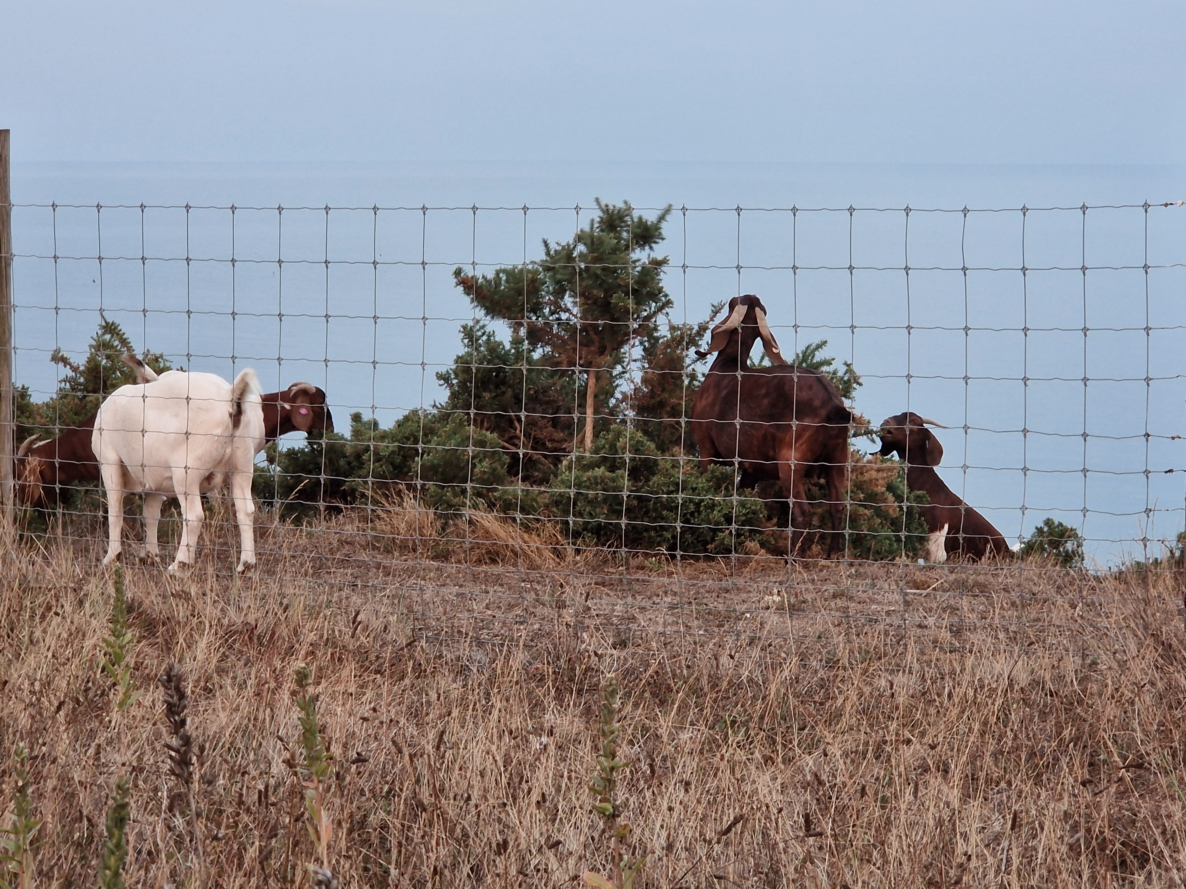 梅菲尔酒店-官方