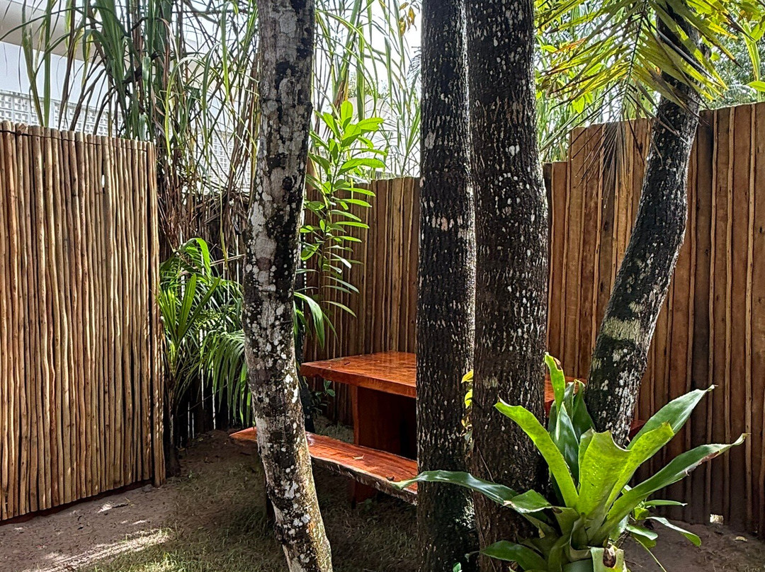 Cândido Atelier-Velha Boipeba必去景点