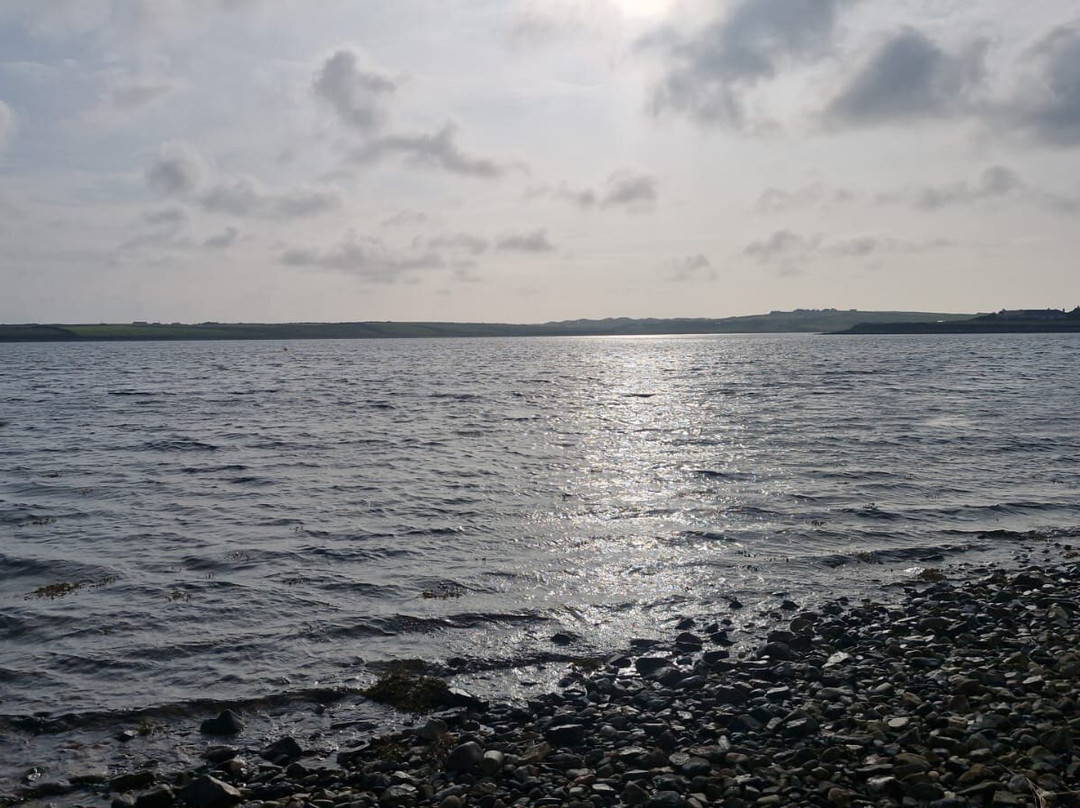 塔尔波特酒店主图