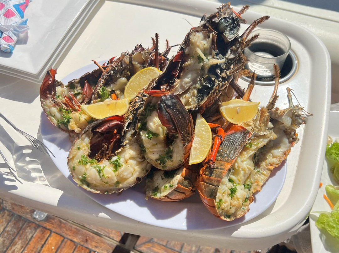 Dadou Excursion-阿尔比恩必去景点