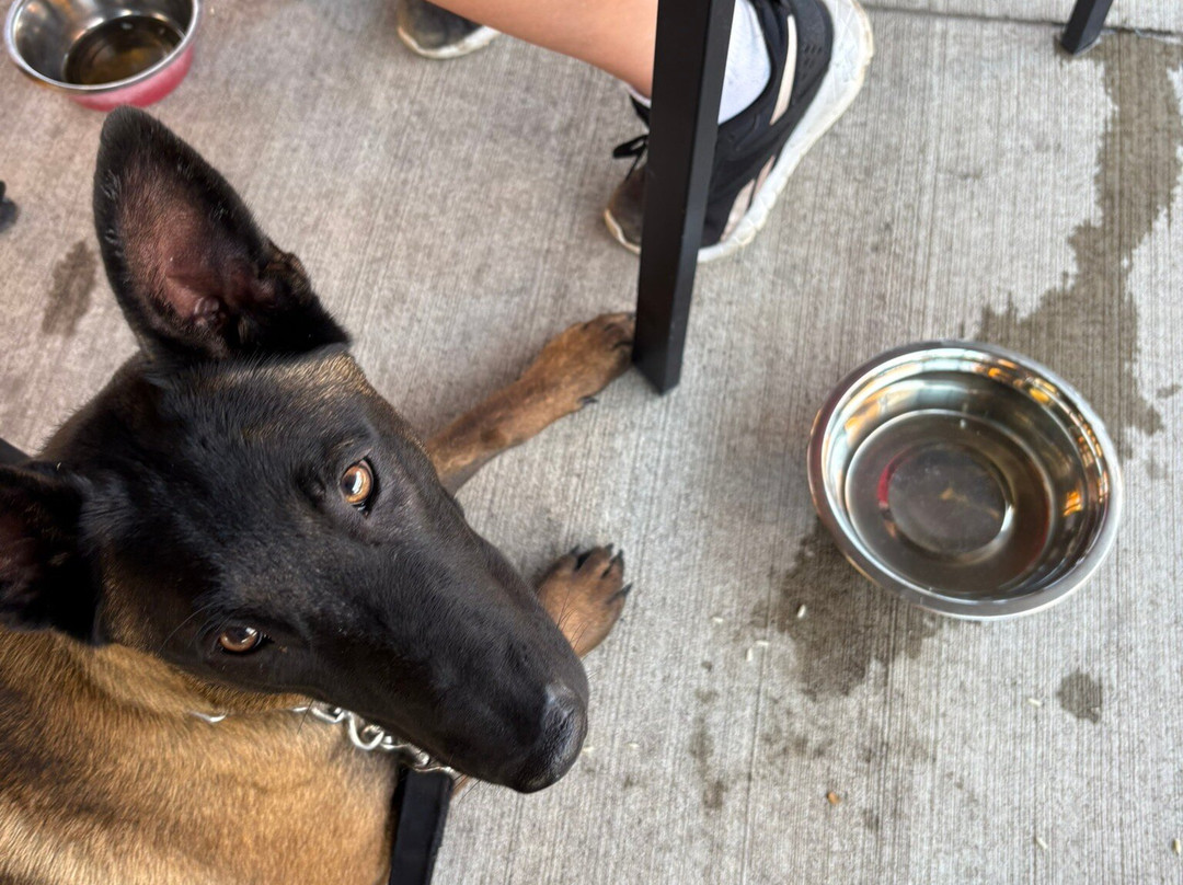 Tattersall Craft Cocktail Bar & Eatery-River Falls必去景点