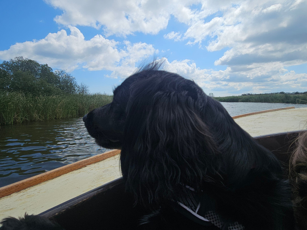 Ross' Wildlife Boat Trips-Mustard Hyrn必去景点