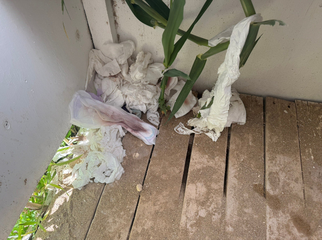 Avithos Beach-阿尔戈斯托利翁必去景点