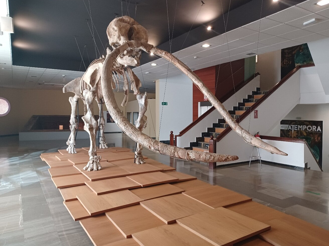 Museo Provincial-雷阿尔城必去景点