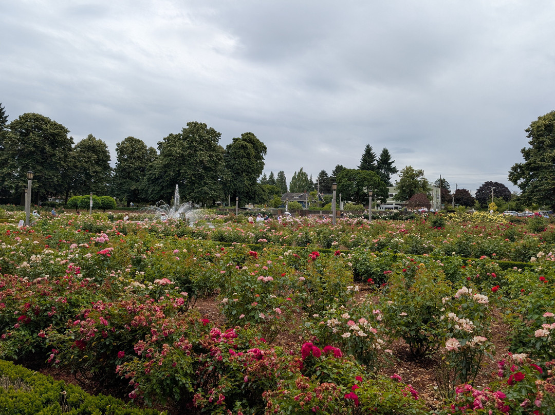 Peninsula Park and Rose Gardens-波特兰必去景点