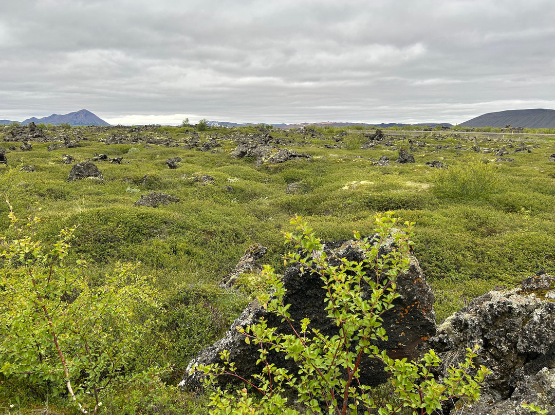Dimmuborgir Lava Formations-米湖必去景点