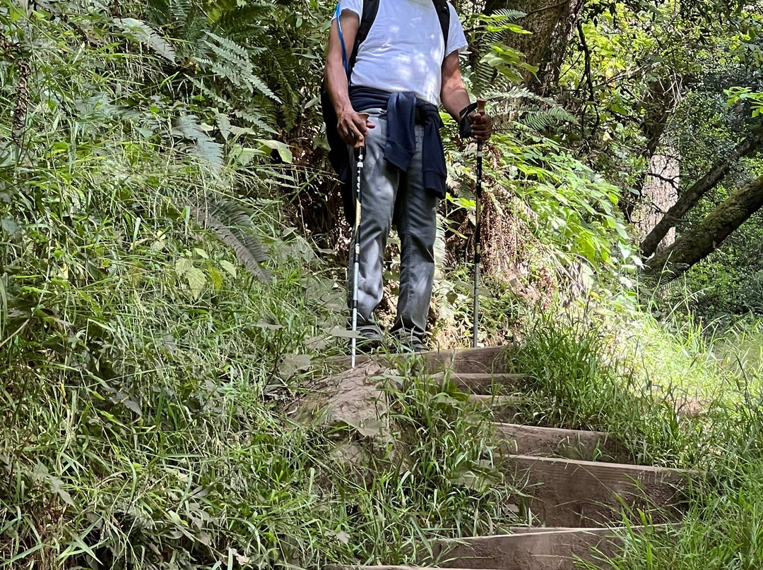Dipsea Trail-米尔谷必去景点