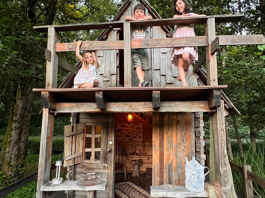 Musicians Park-Shekvetili必去景点