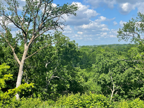 Yazoo Brewing Company-纳什维尔必去景点