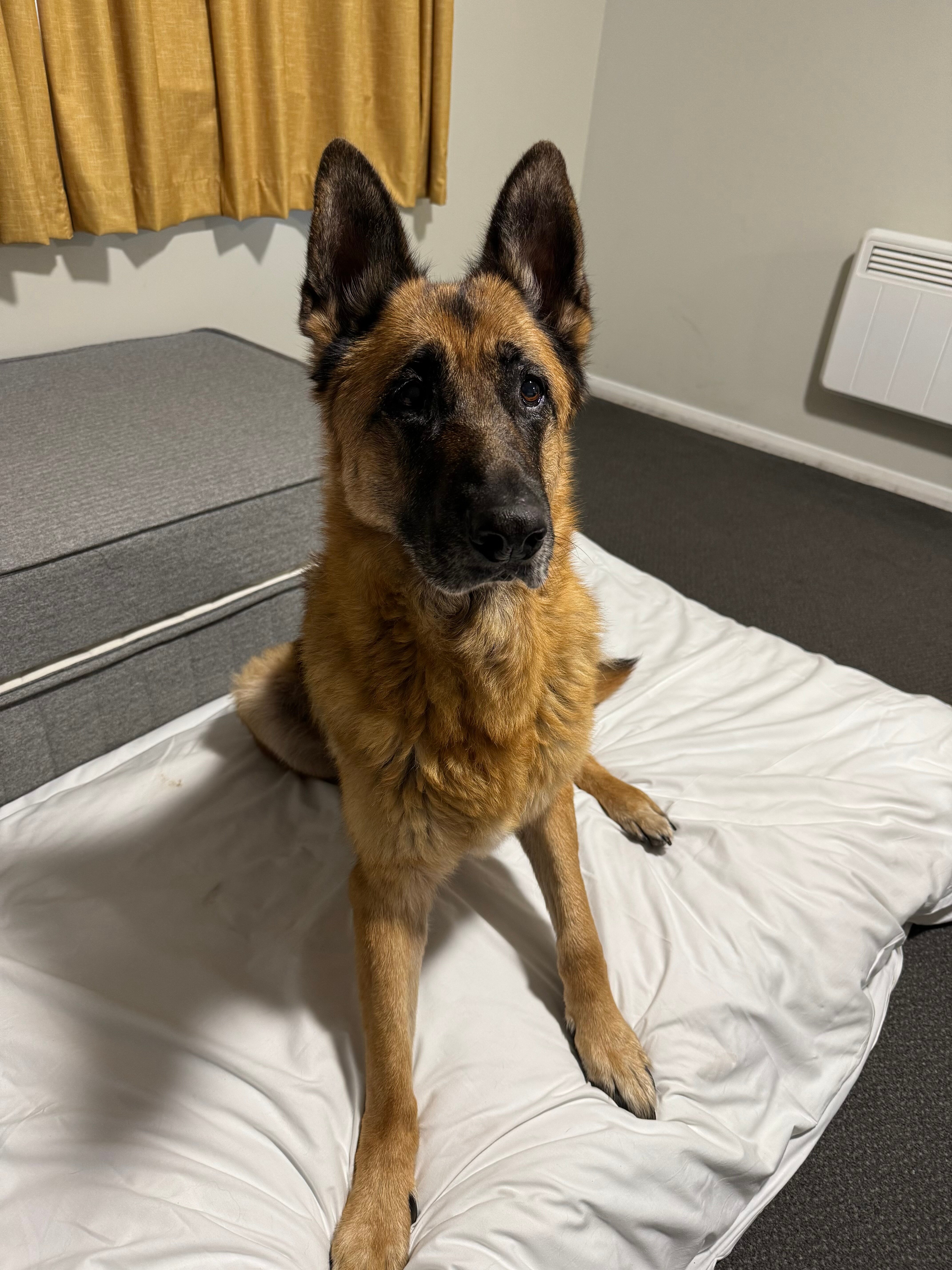 Days Inn Gretna Green A74-官方