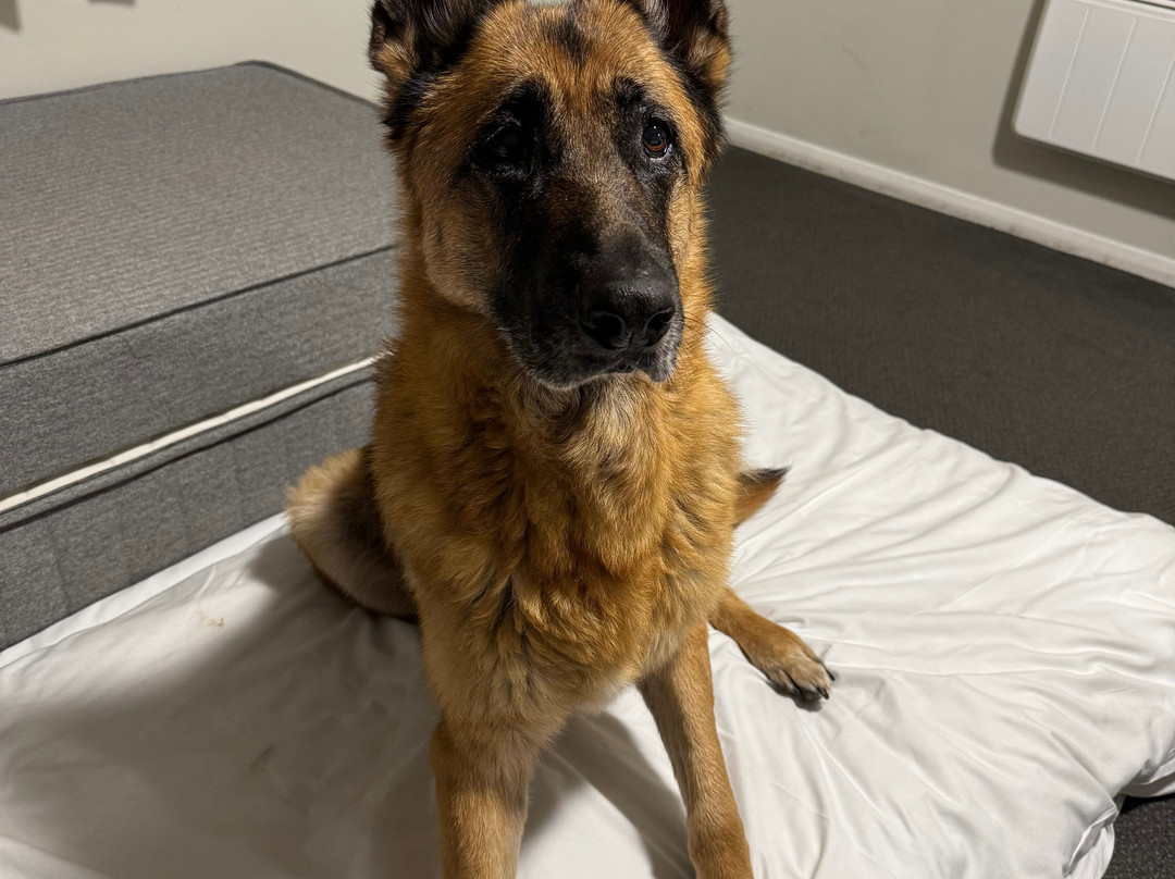 Days Inn Gretna Green A74主图