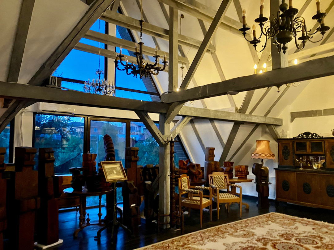 Conacul Archia主图