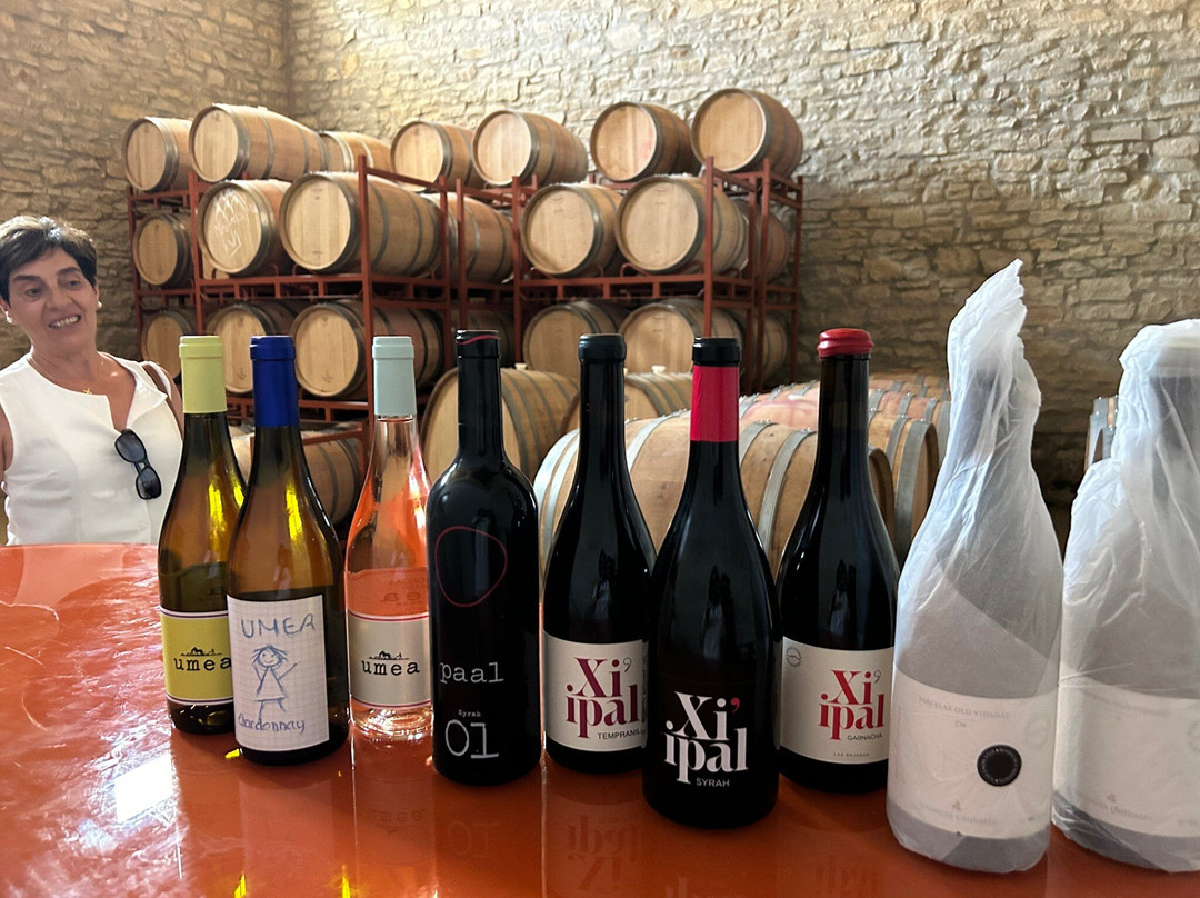 Bodegas Caudalia-Lerga必去景点