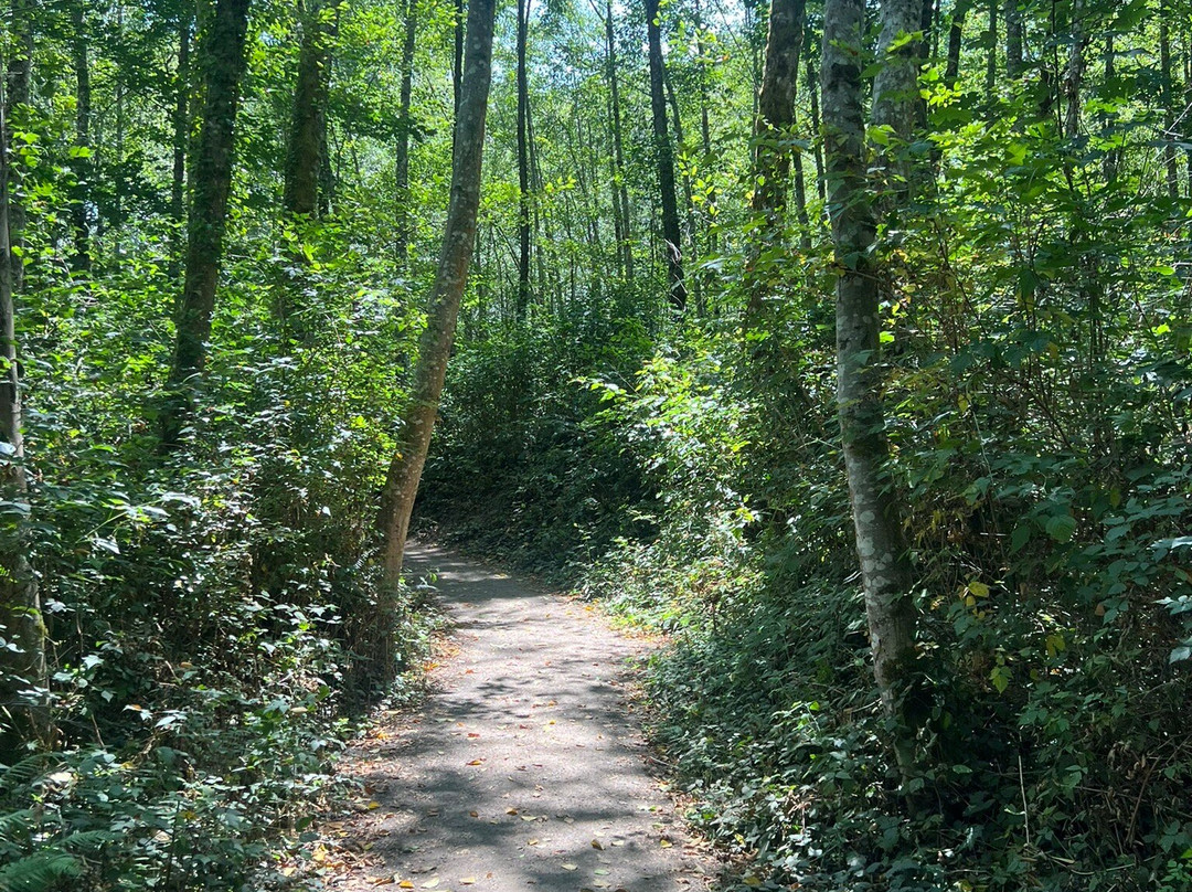 Sakai Park-班布里奇岛必去景点