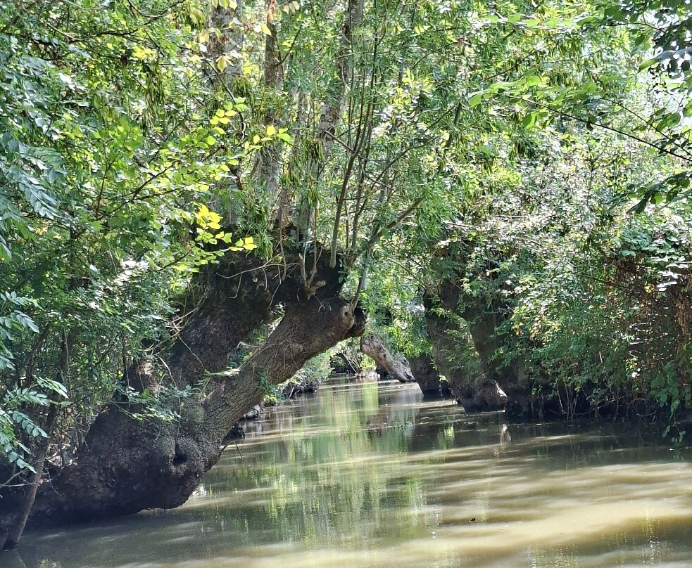 Le Marais Poitevin-Maillezais必去景点