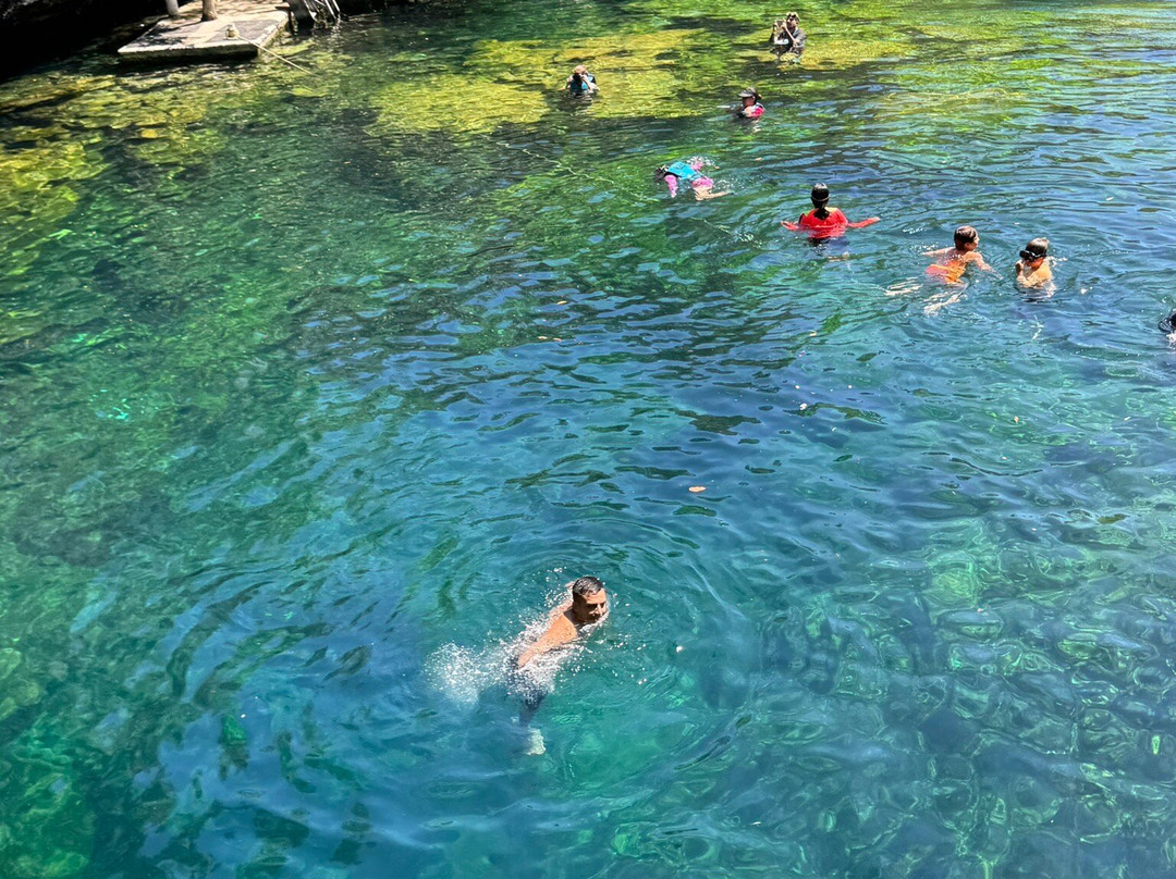 Cenote Jardín del Eden-犹加敦必去景点