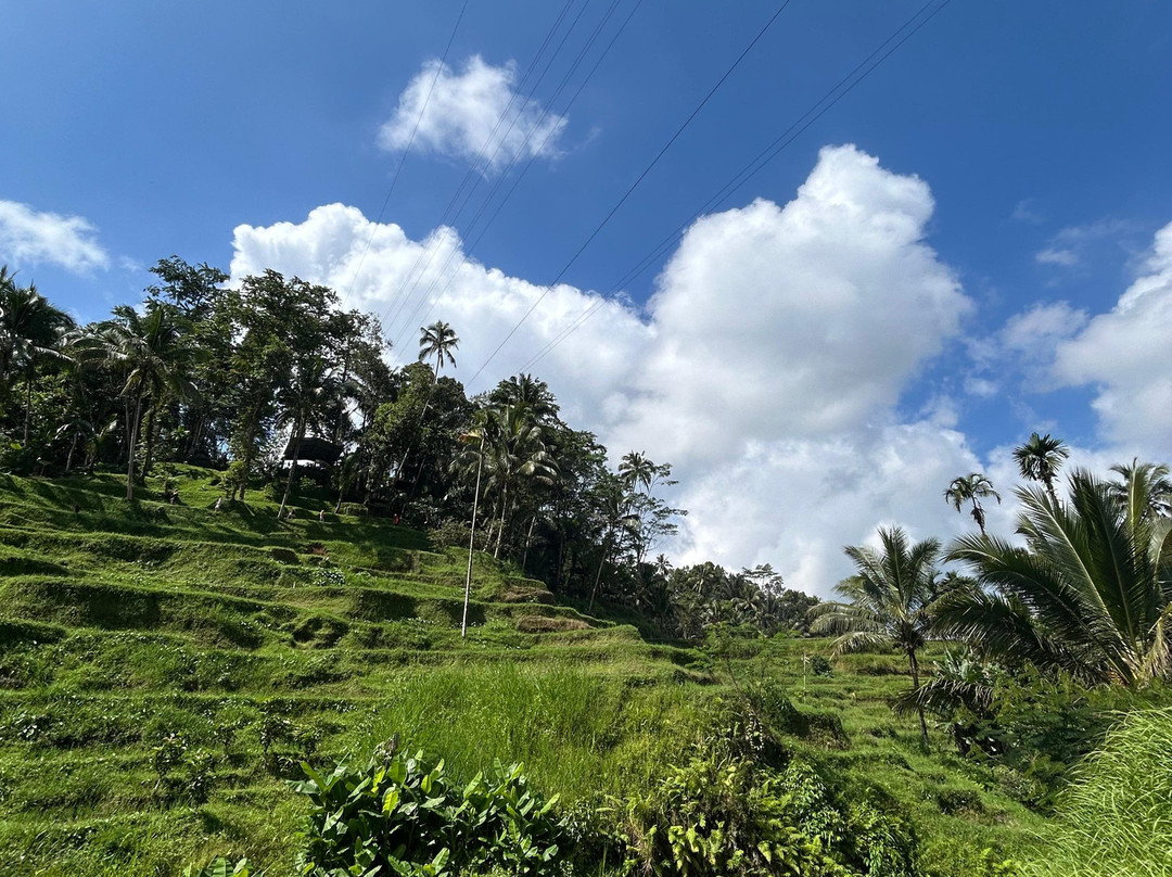 Bali Top Travels-登巴萨必去景点