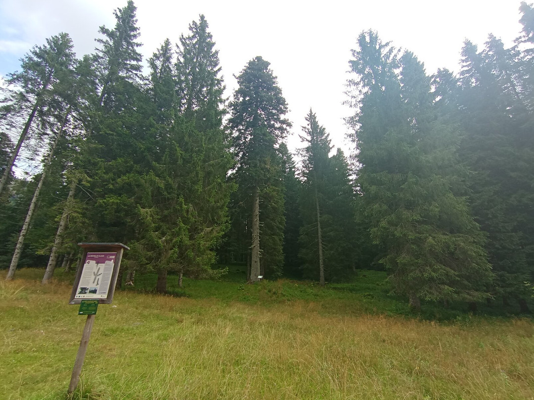 Conca di Cajada-Longarone必去景点