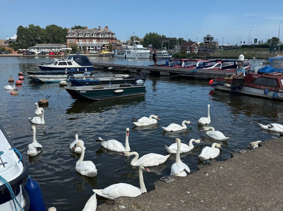 Nicholas Evirett Park Oulton Broad-Oulton Broad必去景点