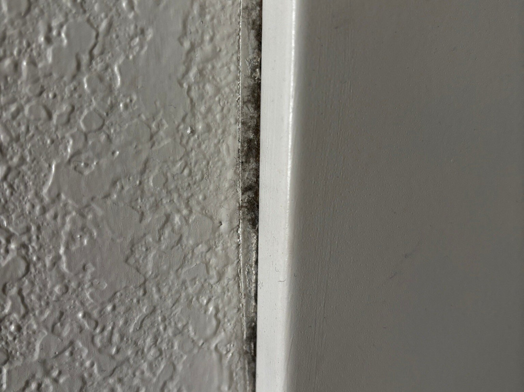 芝加哥 Tinley 公园会展中心假日酒店主图