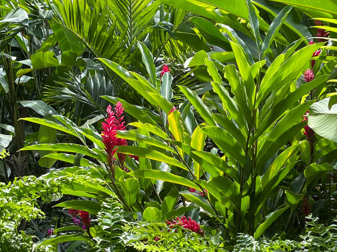 Guará Acqua Park-Santa Isabel Do Para必去景点