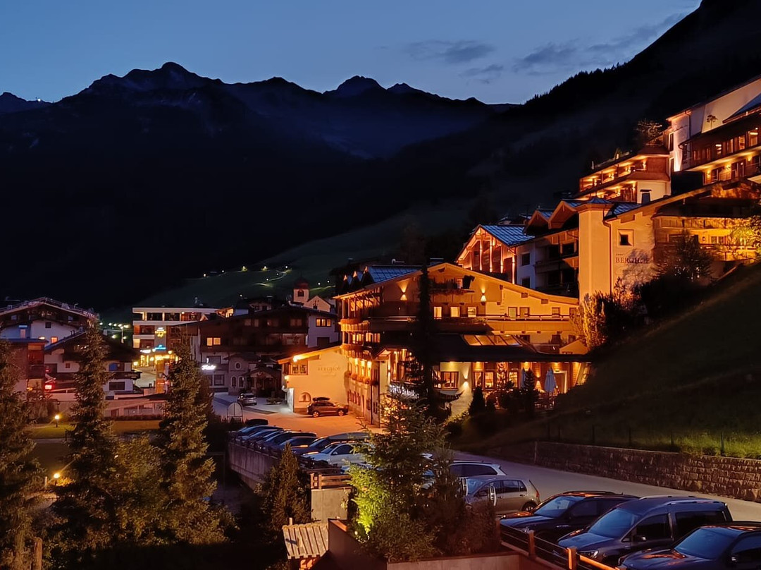 阿尔卑斯霍夫酒店主图