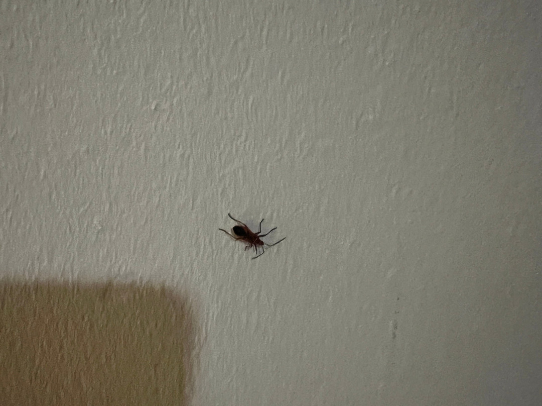 Santa Maria Beach-圣玛丽亚岛必去景点