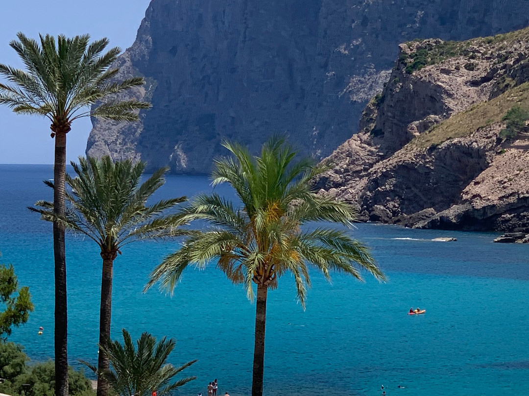 El Vicenc De La Mar主图