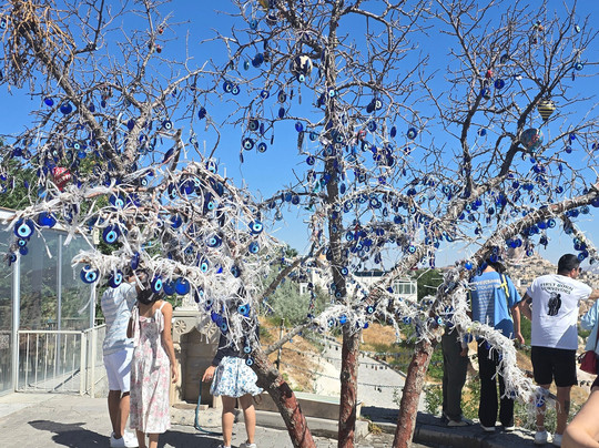 Tour Altinkum-库萨达斯必去景点