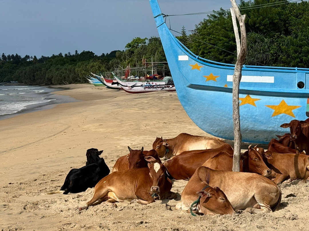 Taru Villas - Mawella Tangalle主图