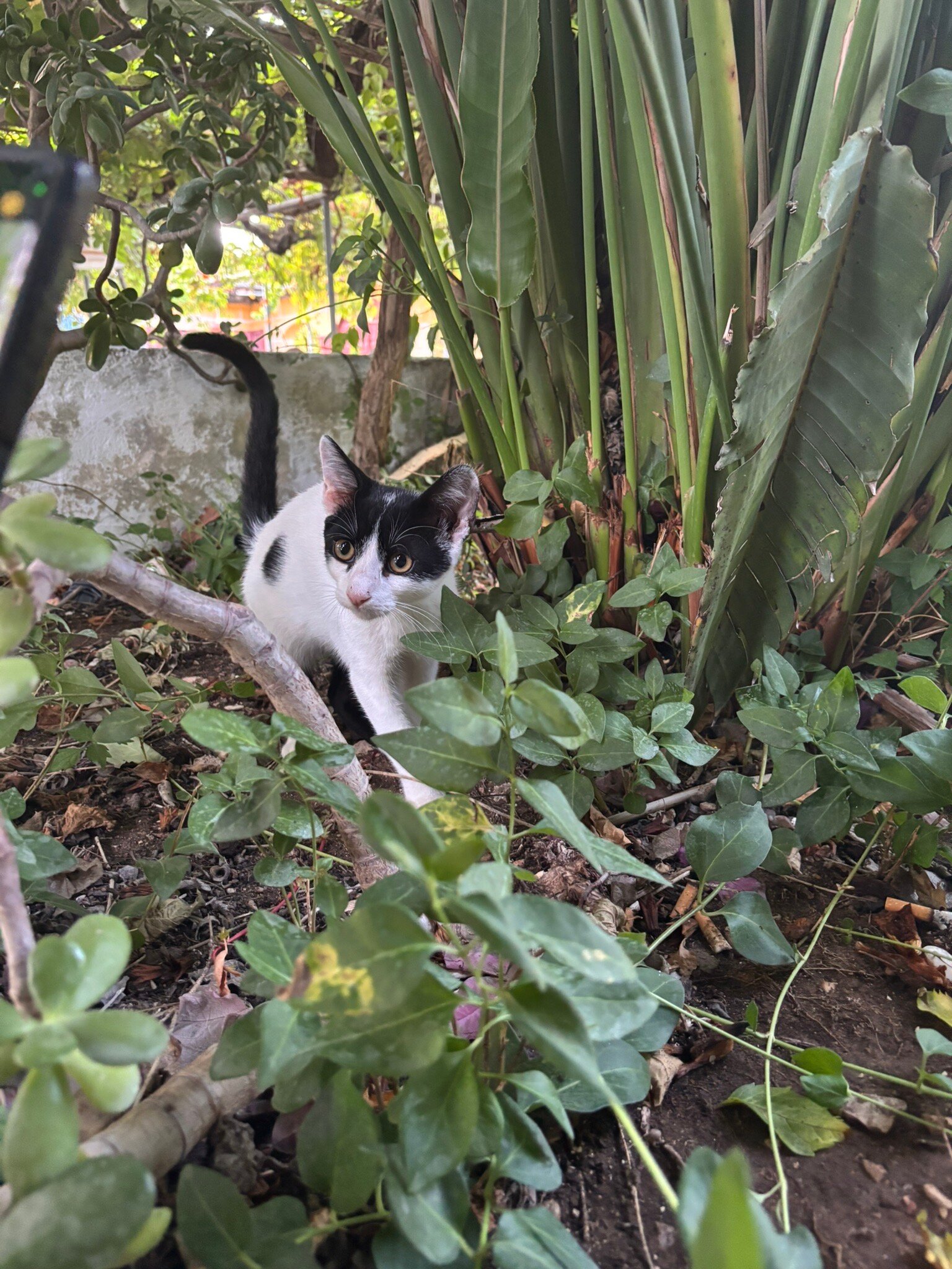 Paris Village-官方